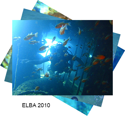 elba2010